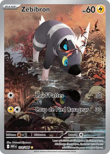 Cartes Art Rare (AR) | Flamme Blanche (EV10.5)