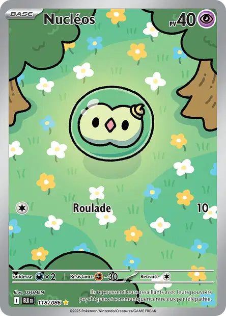 Cartes Art Rare (AR) | Foudre Noir (EV10.5)