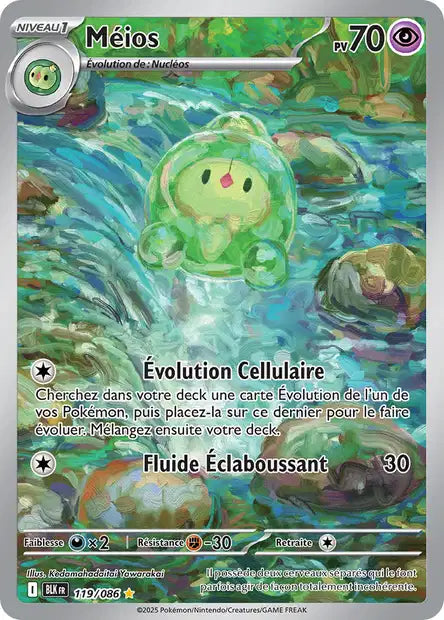 Cartes Art Rare (AR) | Foudre Noir (EV10.5)