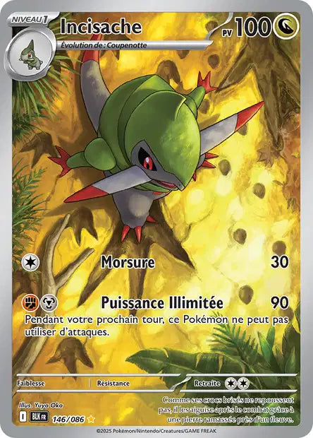 Cartes Art Rare (AR) | Foudre Noir (EV10.5)