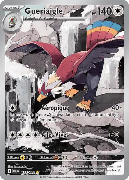 Cartes Art Rare (AR) | Foudre Noir (EV10.5)