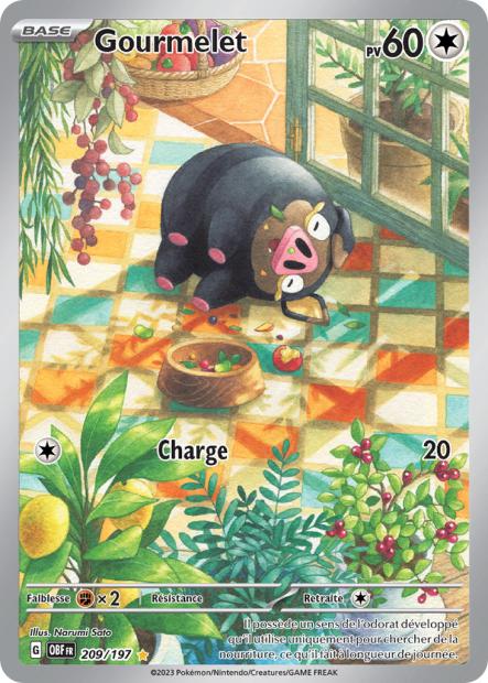 Cartes Art Rare (AR) | Flammes Obsidiennes (EV03)