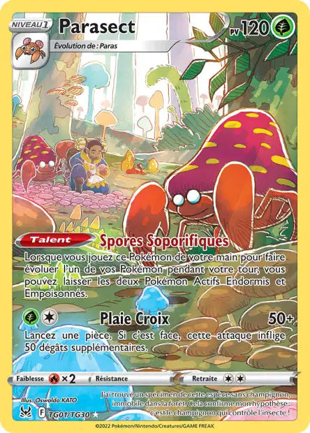 Cartes TG | Origine Perdue (EB11)