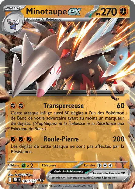 Cartes Ex | Foudre Noir (EV10.5)