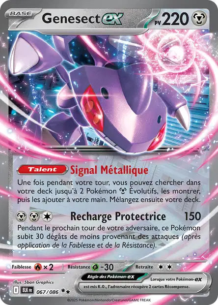 Cartes Ex | Foudre Noir (EV10.5)