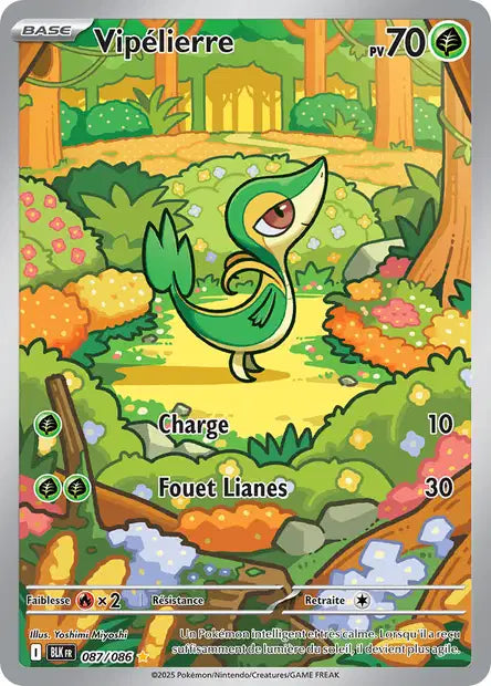 Cartes Art Rare (AR) | Foudre Noir (EV10.5)