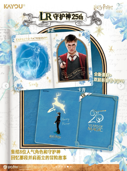 PRECOMMANDE DISPLAY | Harry Potter 25 Years of Magic (KAYOU)