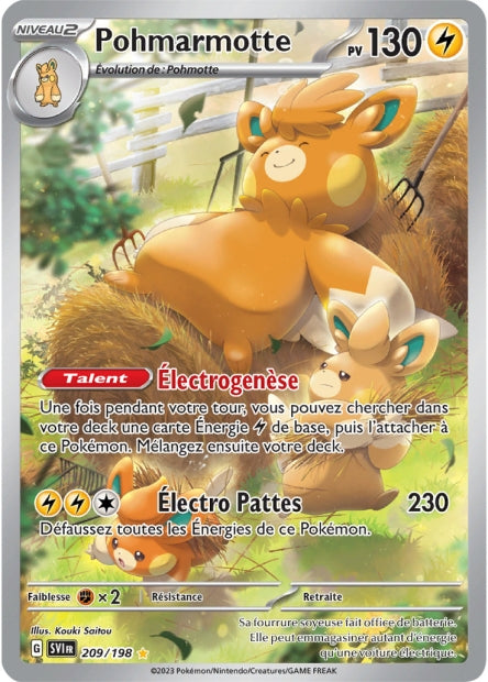 pohmarmotte-209-svi-ecarlate-et-violet