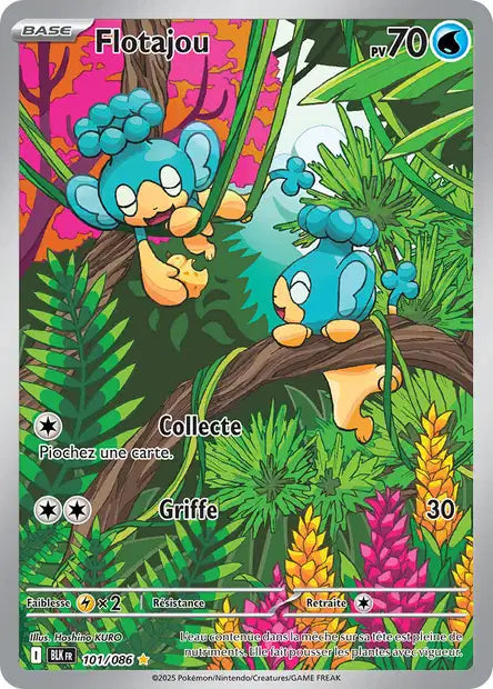Cartes Art Rare (AR) | Foudre Noir (EV10.5)
