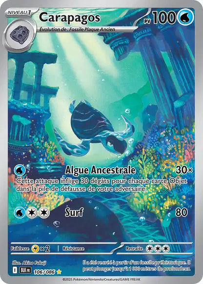 Cartes Art Rare (AR) | Foudre Noir (EV10.5)