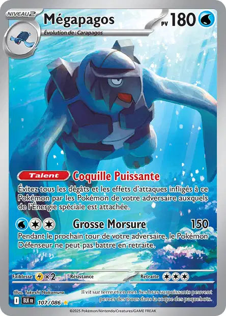 Cartes Art Rare (AR) | Foudre Noir (EV10.5)