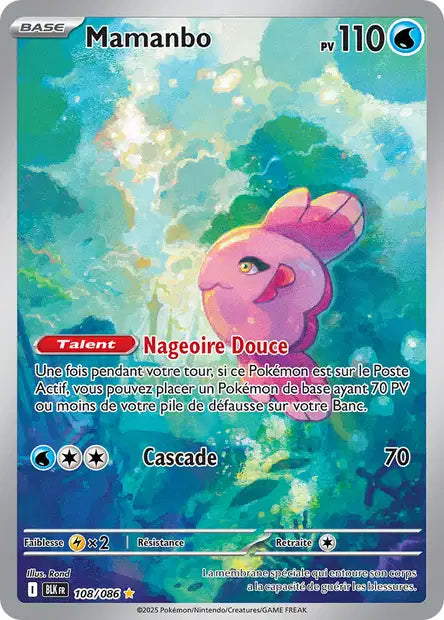 Cartes Art Rare (AR) | Foudre Noir (EV10.5)