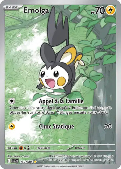 Cartes Art Rare (AR) | Foudre Noir (EV10.5)
