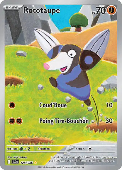 Cartes Art Rare (AR) | Foudre Noir (EV10.5)