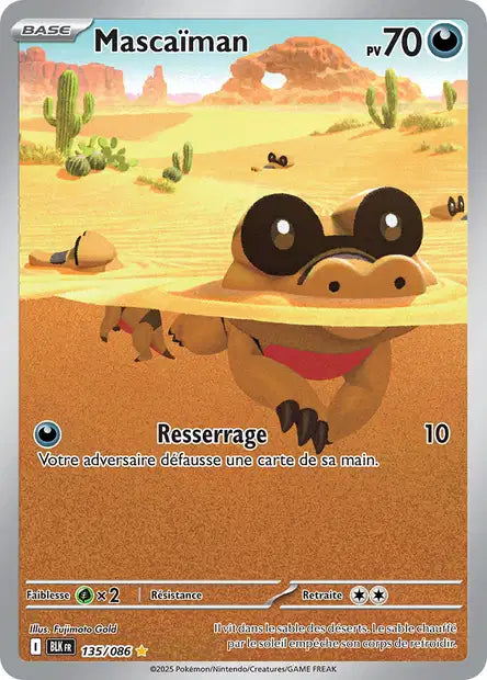 Cartes Art Rare (AR) | Foudre Noir (EV10.5)
