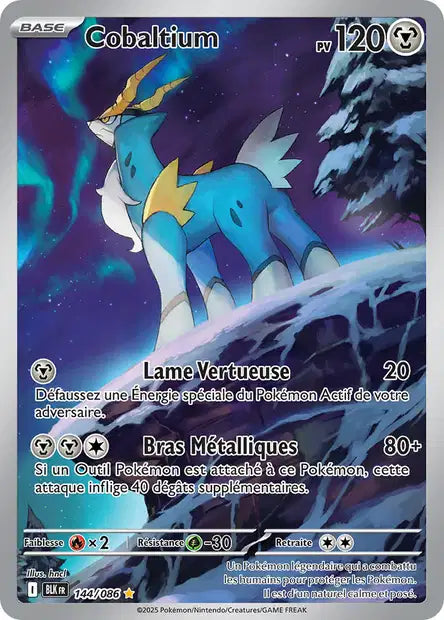 Cartes Art Rare (AR) | Foudre Noir (EV10.5)