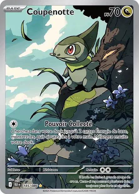 Cartes Art Rare (AR) | Foudre Noir (EV10.5)