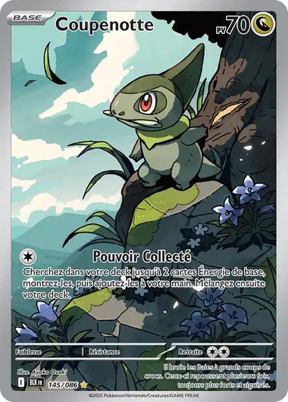 Cartes Art Rare (AR) | Foudre Noir (EV10.5)