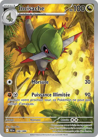 Cartes Art Rare (AR) | Foudre Noir (EV10.5)