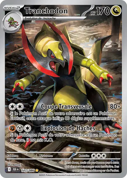 Cartes Art Rare (AR) | Foudre Noir (EV10.5)