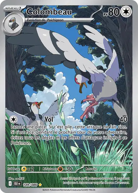 Cartes Art Rare (AR) | Foudre Noir (EV10.5)