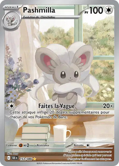 Cartes Art Rare (AR) | Foudre Noir (EV10.5)
