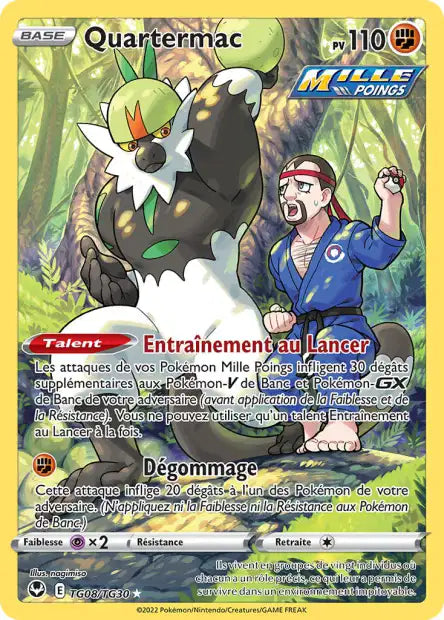 Cartes TG | Tempête Argentée (EB12)