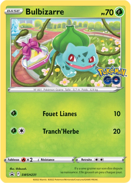 Cartes Promos - Pokémon Go - EB10.5