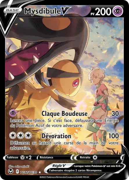 Cartes TG | Tempête Argentée (EB12)