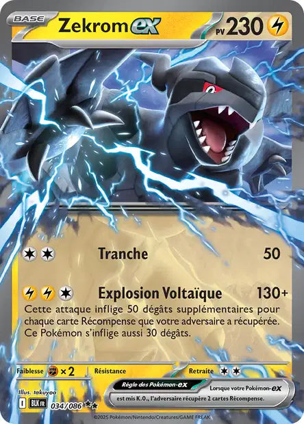 Cartes Ex | Foudre Noir (EV10.5)