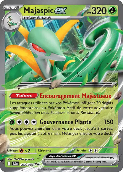Cartes Ex | Foudre Noir (EV10.5)