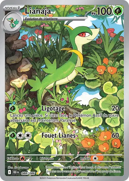 Cartes Art Rare (AR) | Foudre Noir (EV10.5)