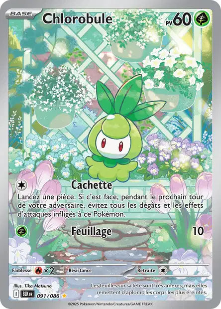 Cartes Art Rare (AR) | Foudre Noir (EV10.5)
