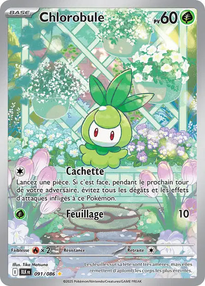Cartes Art Rare (AR) | Foudre Noir (EV10.5)