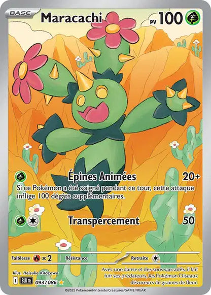 Cartes Art Rare (AR) | Foudre Noir (EV10.5)
