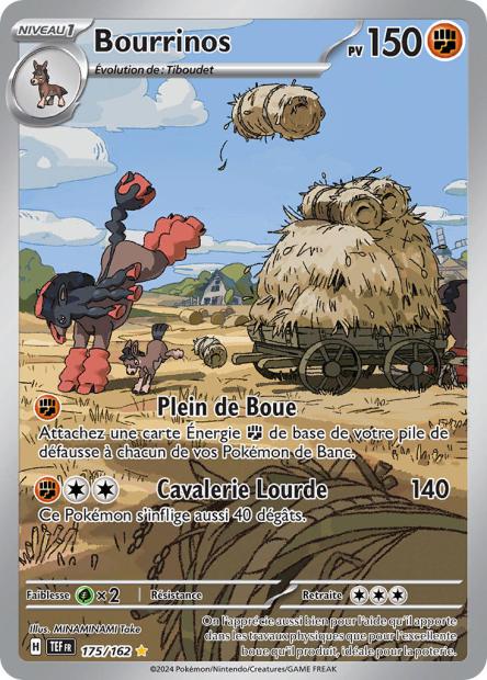bourrinos-175-forces-temporelles-ev05-tef