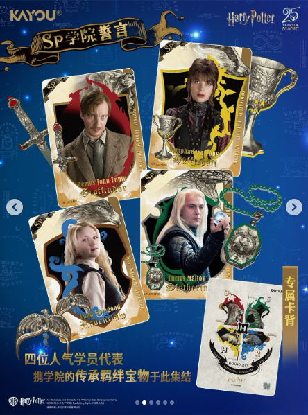 PRECOMMANDE DISPLAY | Harry Potter 25 Years of Magic (KAYOU)