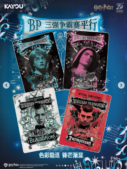 PRECOMMANDE DISPLAY | Harry Potter 25 Years of Magic (KAYOU)